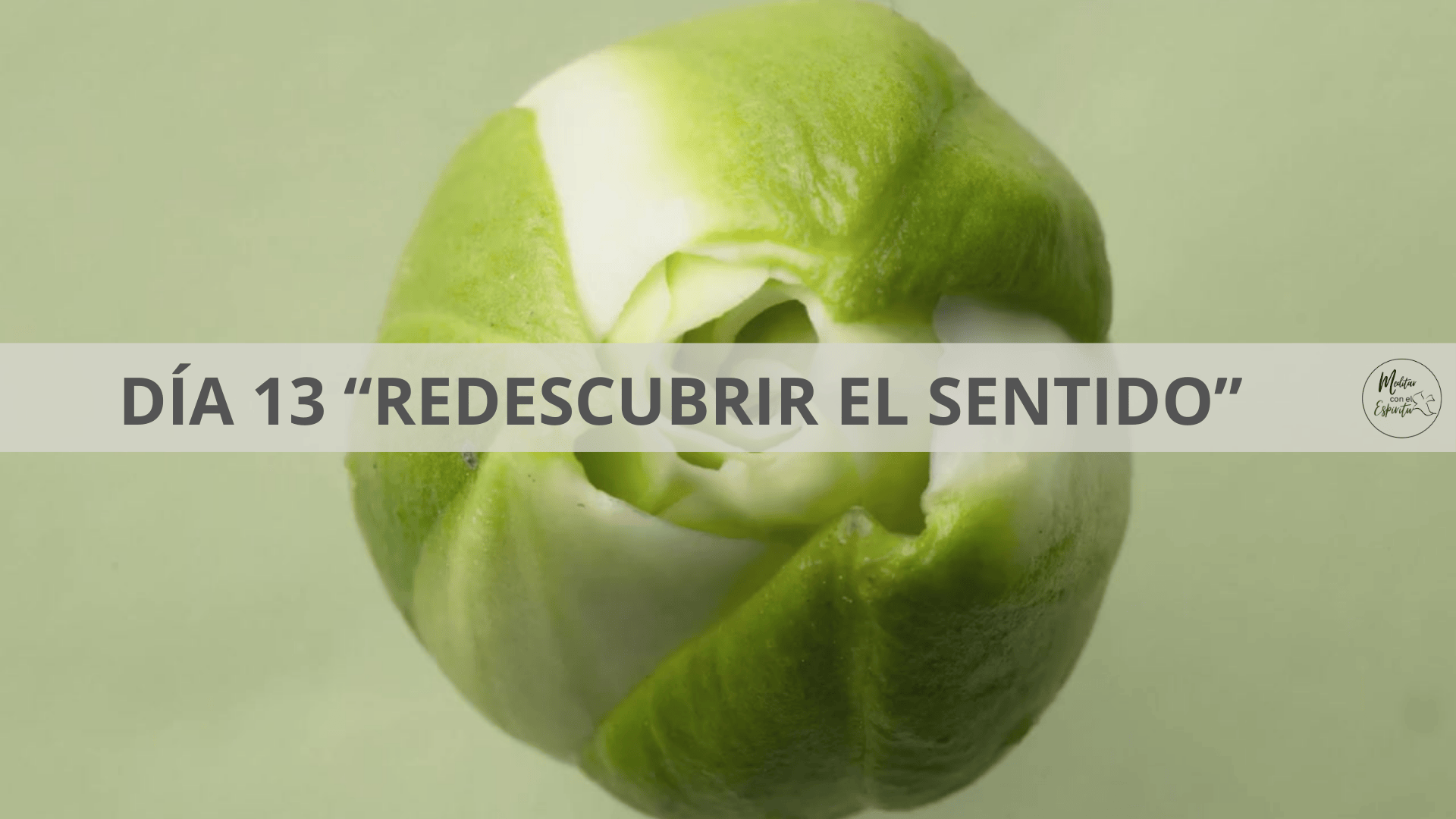 DÍA 13 REDESCUBRIR EL SENTIDO