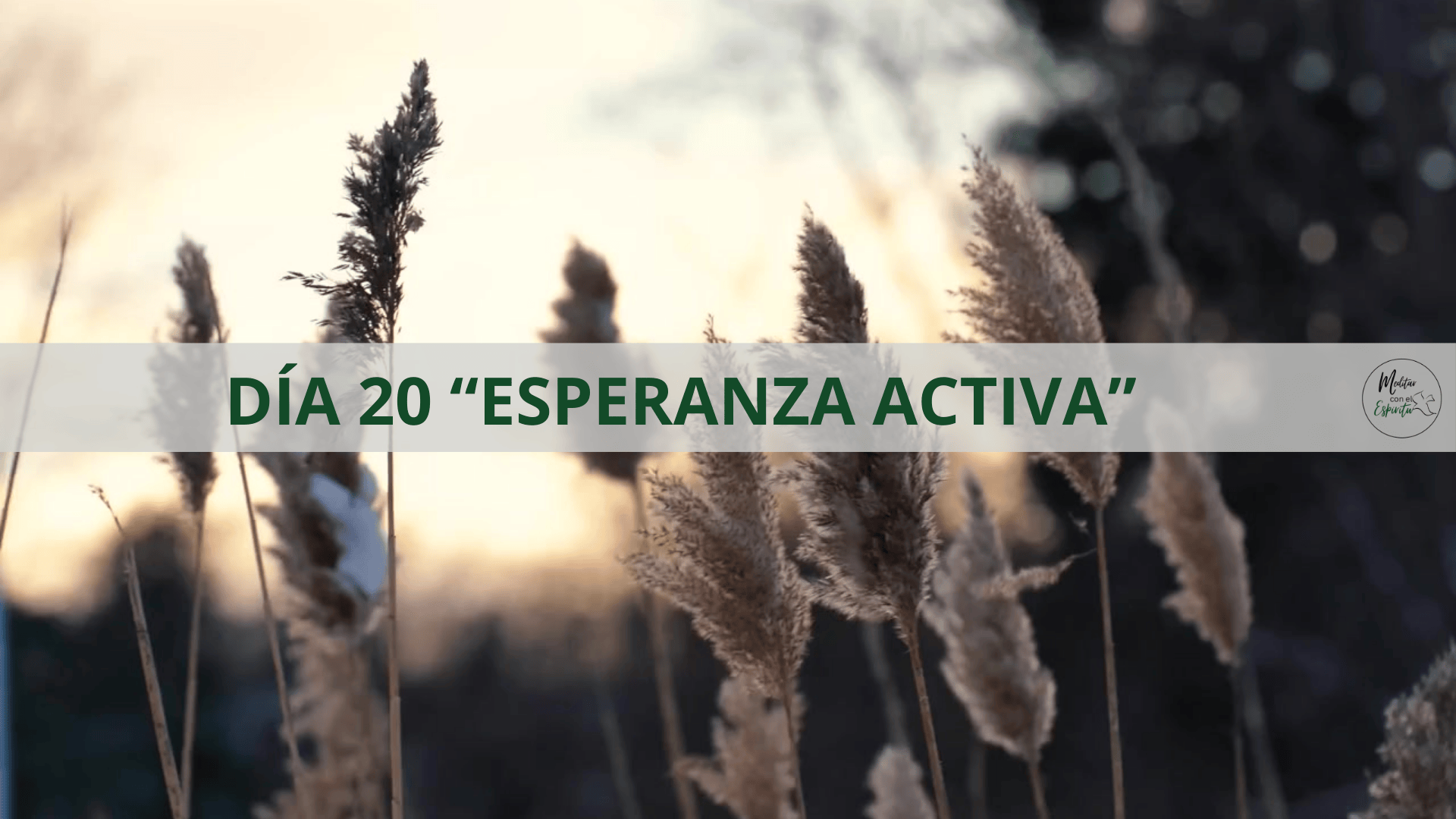 DÍA 20. ESPERANZA ACTIVA